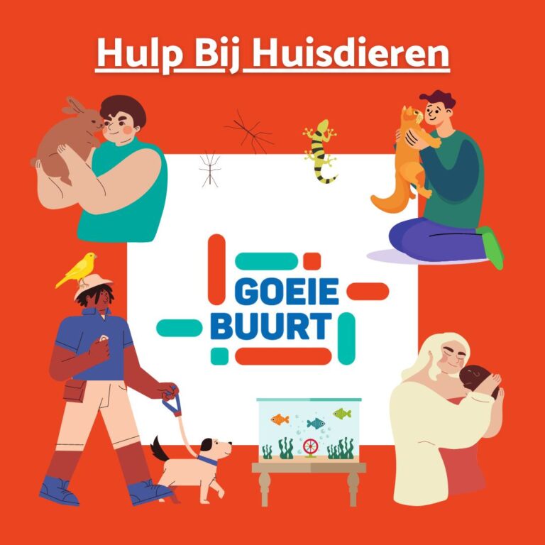 Meld je aan voor Whatsappgroep Hulp Bij Huisdieren!
